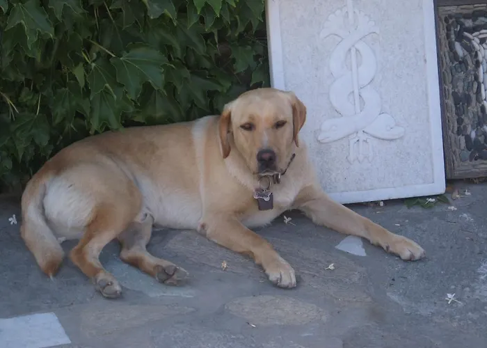 Apartment Paros Apartments