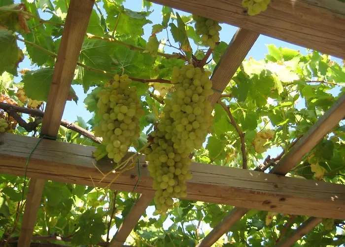 Paros Apartments Apartment