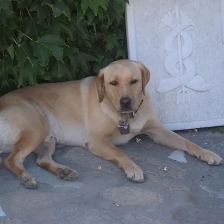 Apartmán Paros Apartments