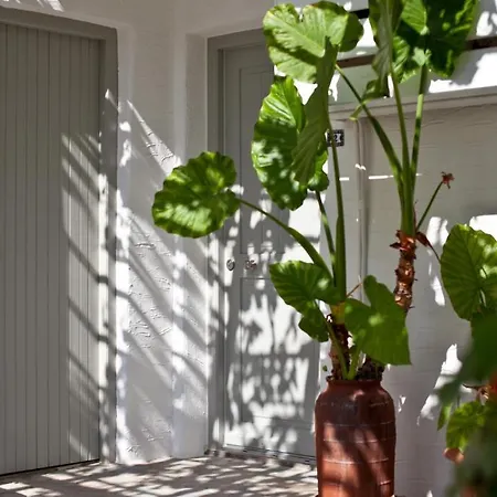 Paros Apartments *