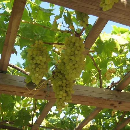 Paros Apartments Apartmán